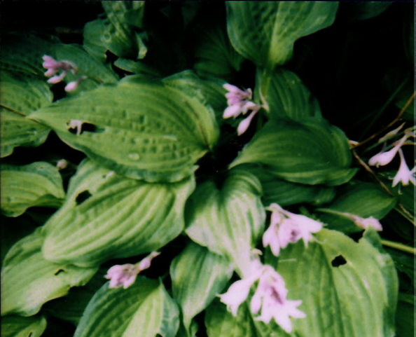 Screenshot 2024-09-14 at 7.56.10 AM